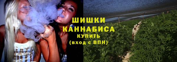 ALPHA-PVP Каменка